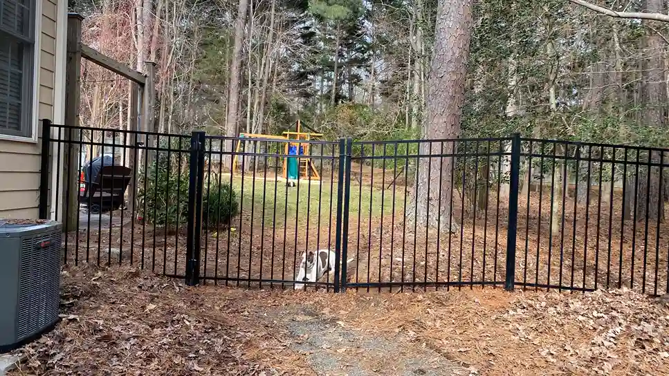 Black aluminum fence with open views